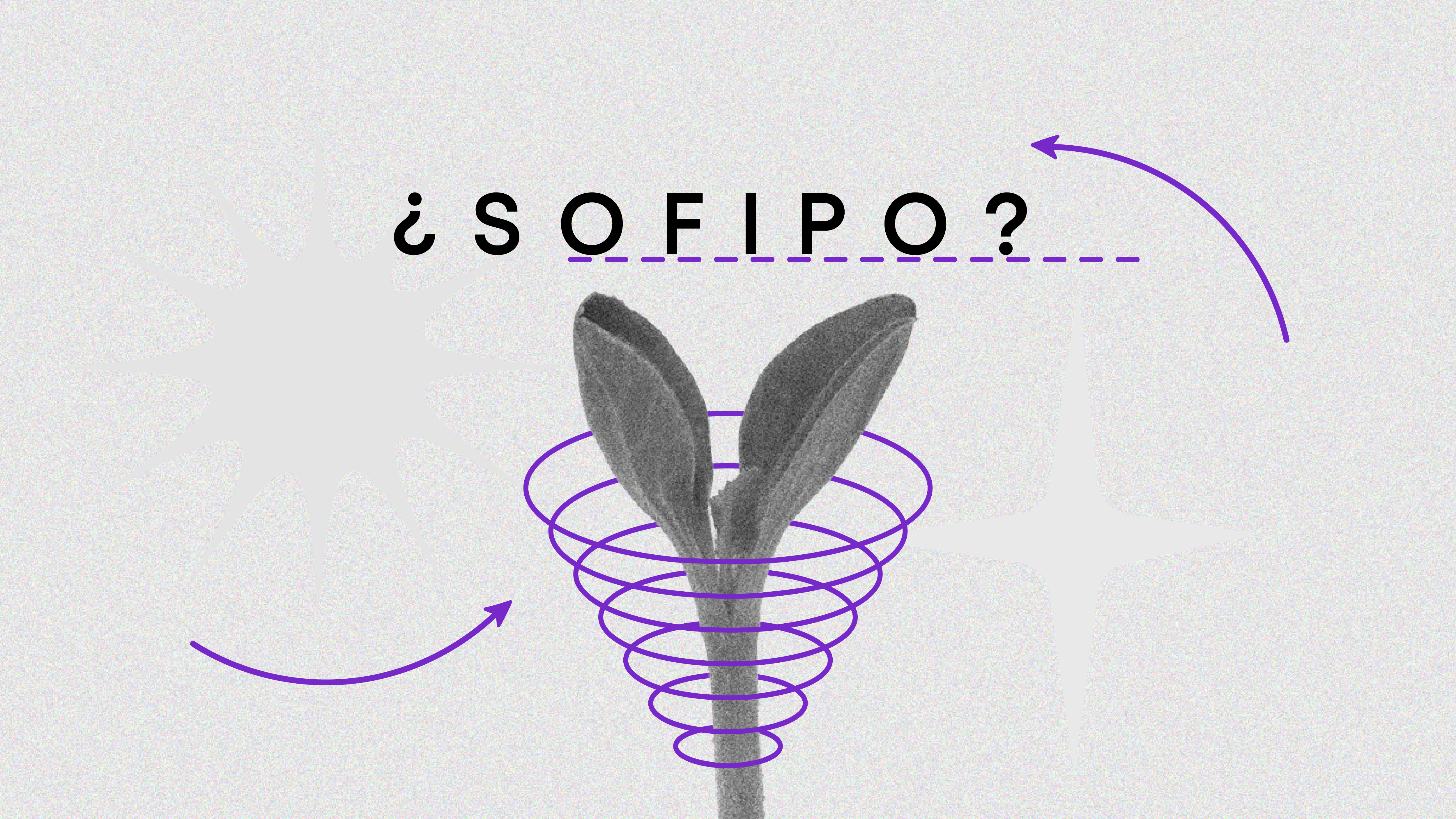 Un brote envuelto en una espiral para indicar qué es una SOFIPO