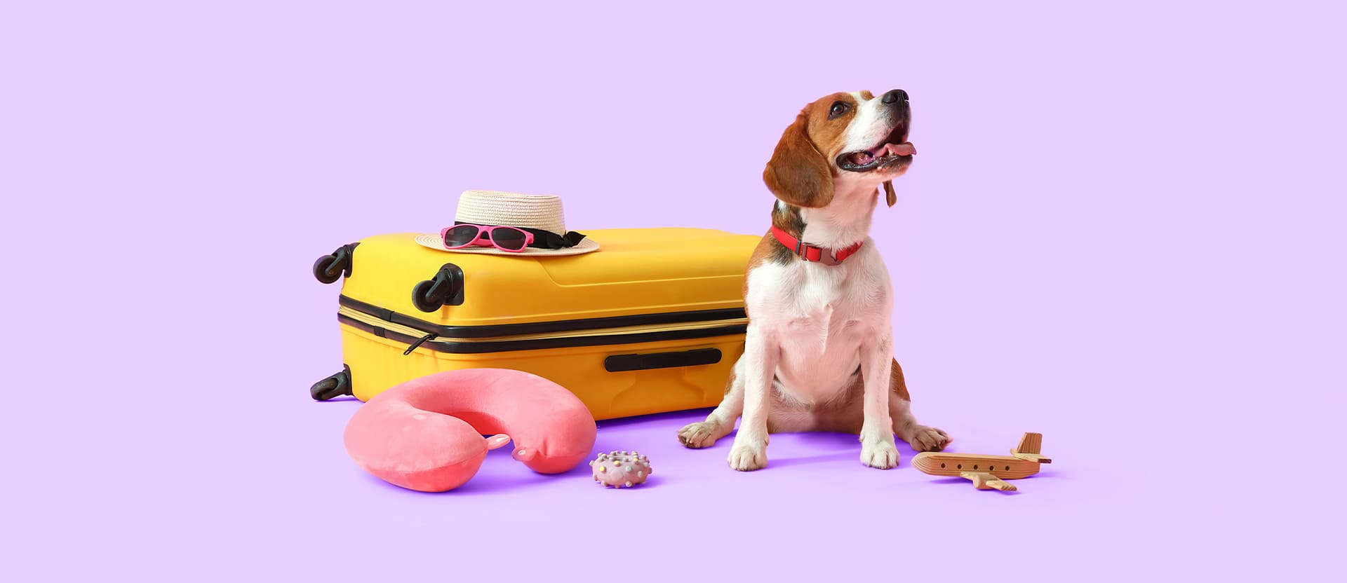 Un perro junto a una maleta amarilla para representar cuánto cuesta viajar con mascota