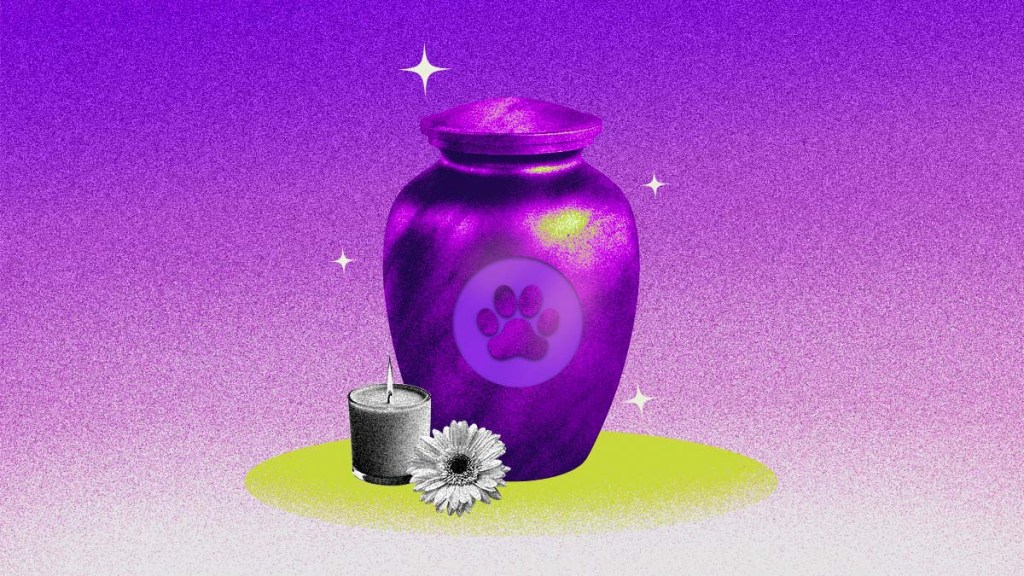 una vela y una flor están junto a una urna con una huellita ilustran cuánto cuesta incinerar a una mascota