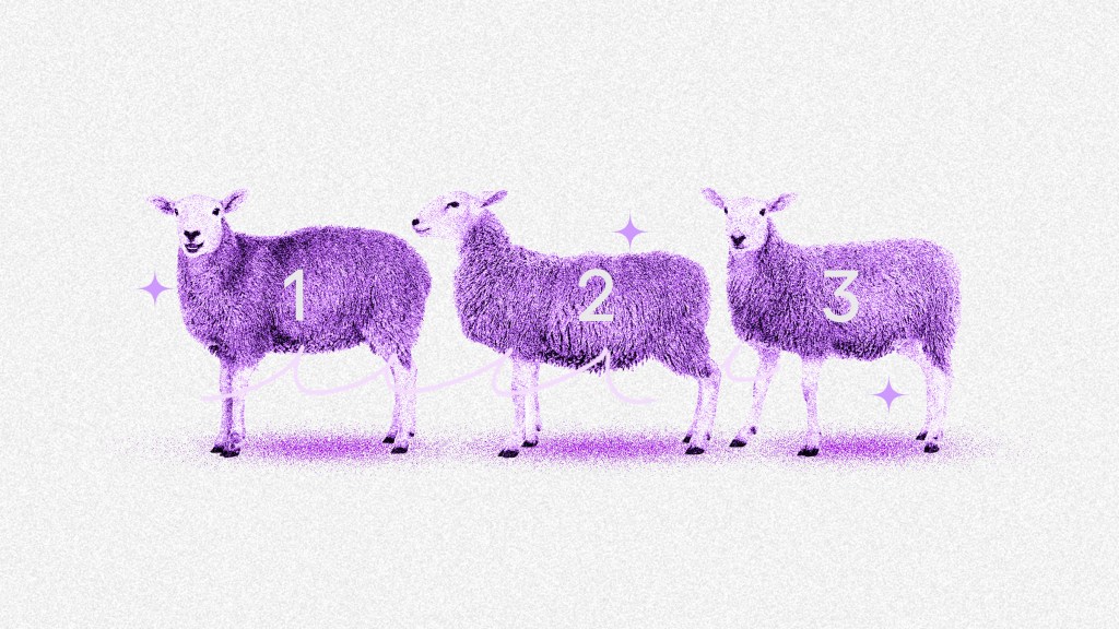 tres ovejas moradas formadas en línea muestran una cuenta progresiva del uno al tres para demostrar Impacto del sueño en tu salud financiera