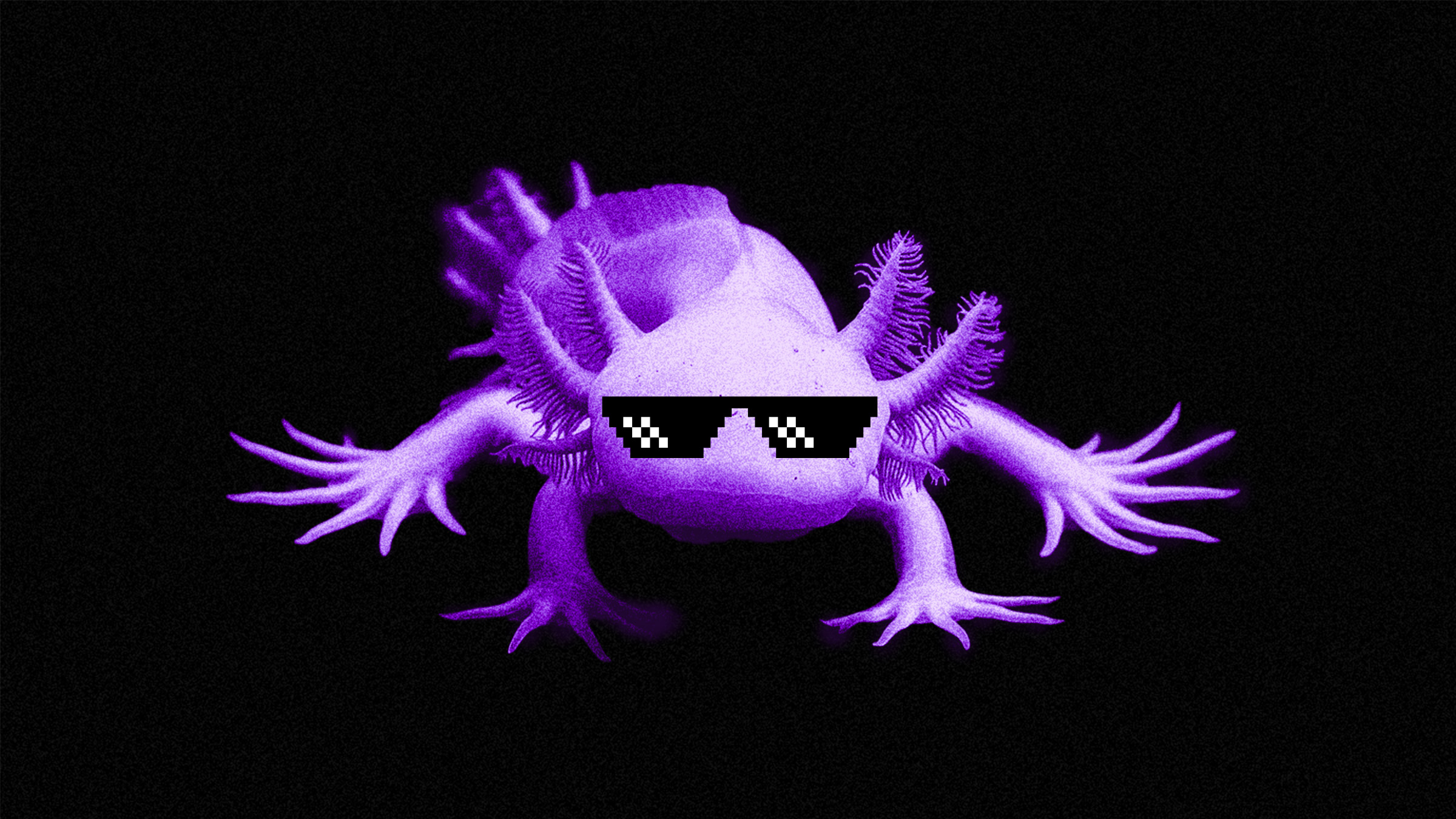 Un ajolote color morado y con gafas negras se presenta frente a un limbo negro para decirte cómo ahorrar dinero rápido